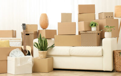 Things You Should Not Put In Boxes During Your Move in California Bay Area